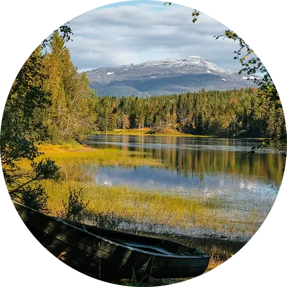 New England mountain and background with autumn foliage trees in foreground